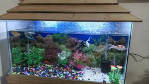 Fish Aquarium 3f/1.5f