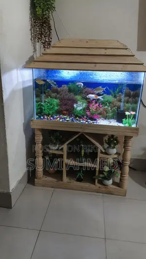 Fish Aquarium 3f/1.5f