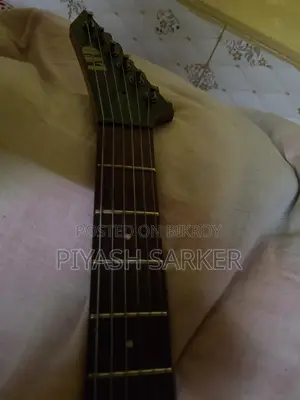 Electric Guitar