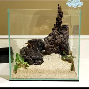 প্লান্টেড একুরিয়াম