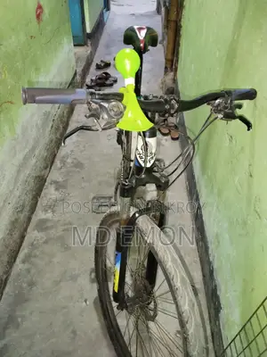 phoenix tornado bicycle