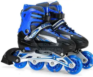 Sketing Shoe
