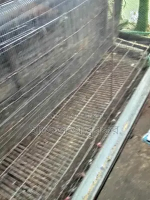 কোয়েল পাখির খাঁচা বিক্রি করা হবে