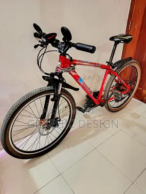 দুরন্ত বাইসাইকেল