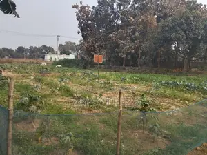 8 Decimal Land for Sale in Savar