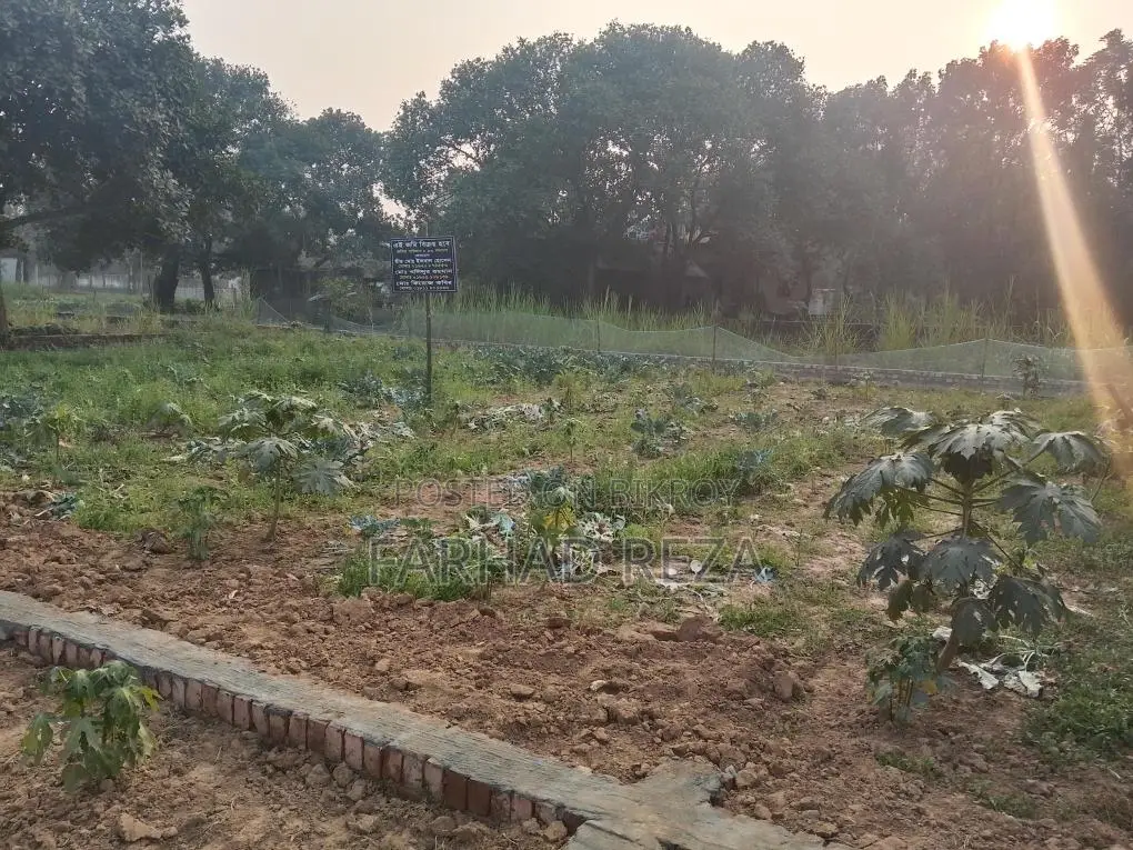 8 Decimal Land for Sale in Savar