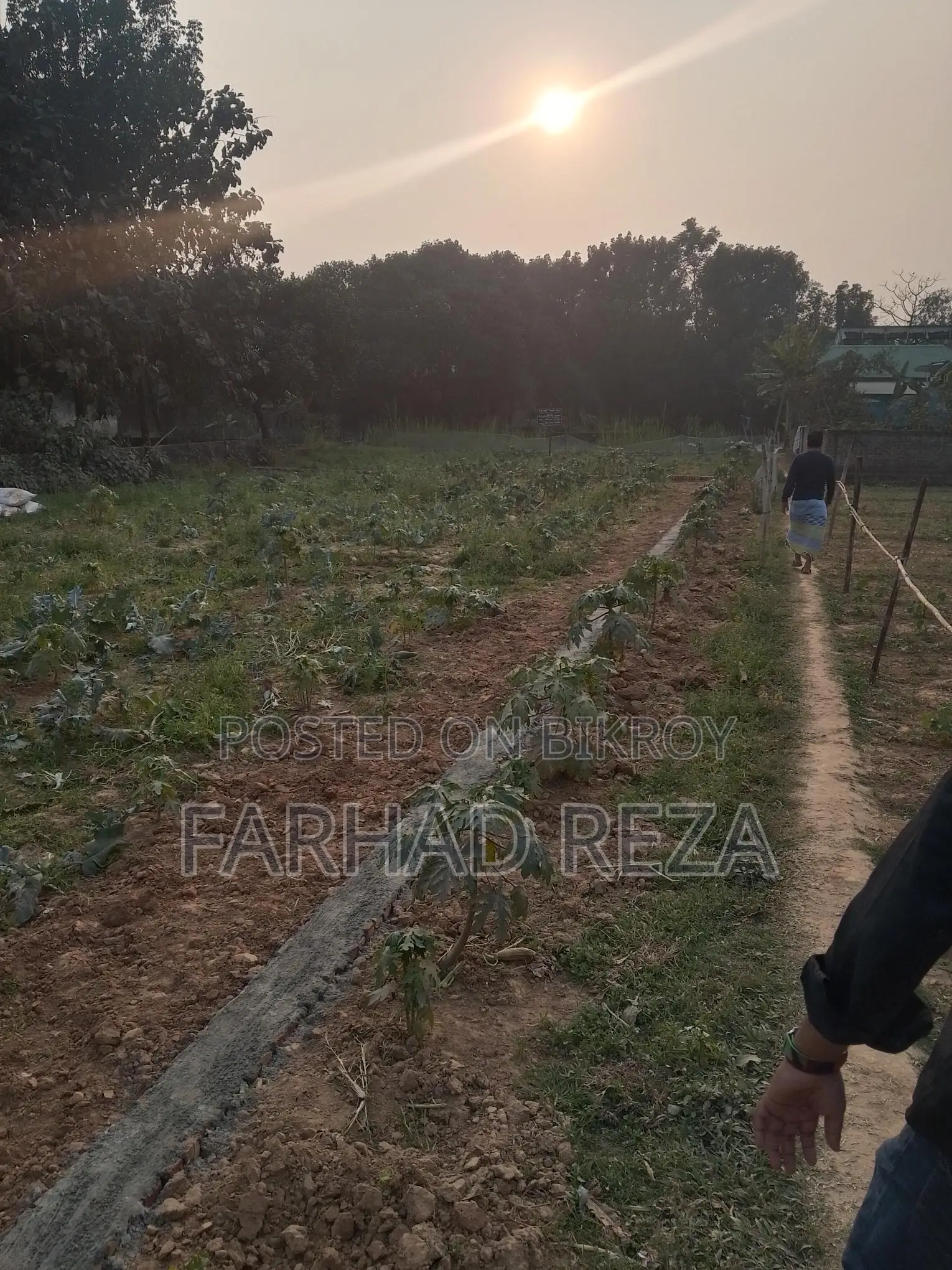 8 Decimal Land for Sale in Savar