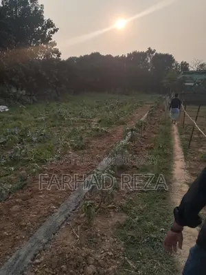 সাভারে ৪+৪=৮ শতক জমি বিক্রিয়