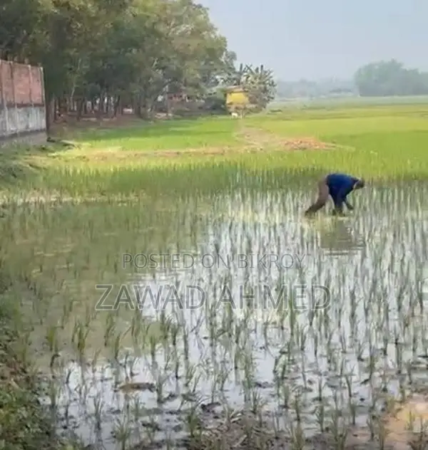 10 Katha Land for Sale
