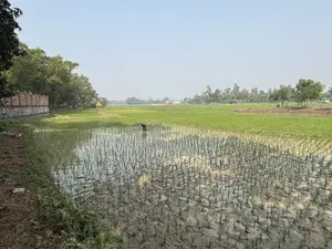 10 Katha Land for Sale