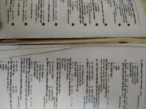 Class 7 All Subject Panjari Guide 2025
