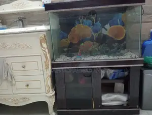 একুরিয়াম