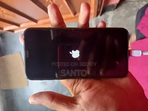 Apple iPhone X 256 GB (Used)