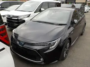 Toyota Corolla WxB P a c k g e 2020