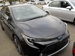 Toyota Corolla WxB P a c k g e 2020