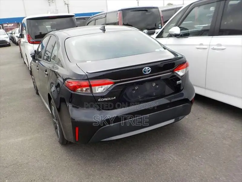 Toyota Corolla WxB P a c k g e 2020