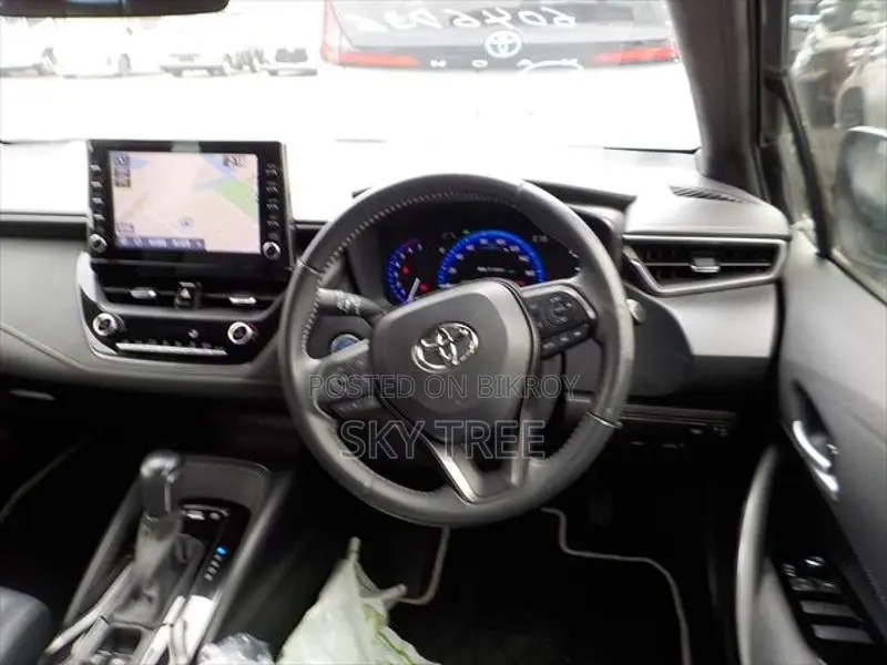 Toyota Corolla WxB P a c k g e 2020