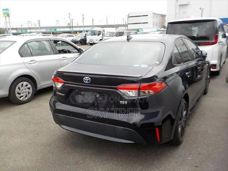 Toyota Corolla WxB P a c k g e 2020