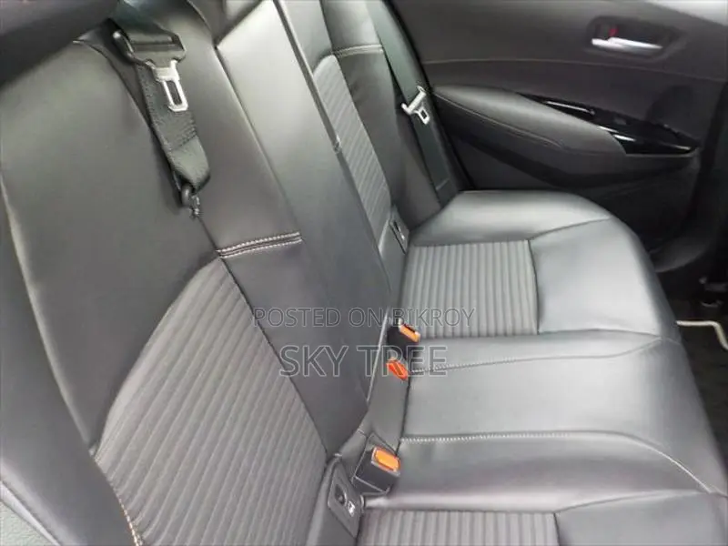 Toyota Corolla WxB P a c k g e 2020