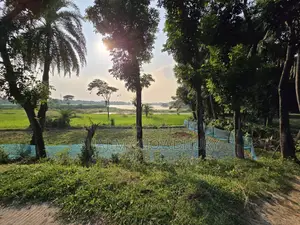 28,800 sqft Land for Rent in Gacha, Gazipur (Industrial/Commercial)