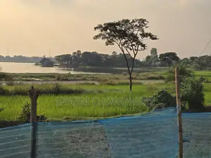 28,800 sqft Land for Rent in Gacha, Gazipur (Industrial/Commercial)
