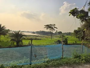 28,800 sqft Land for Rent in Gacha, Gazipur (Industrial/Commercial)