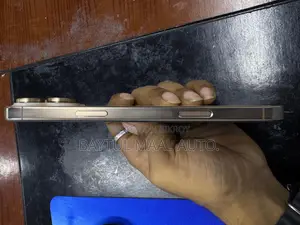 Apple iPhone 16 Pro Max 256 GB