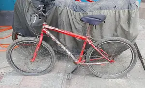 Bicycle for Sale