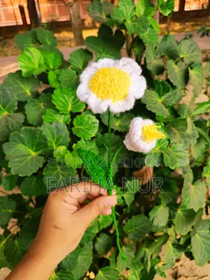 Customised Crochet Flower Jar with Light