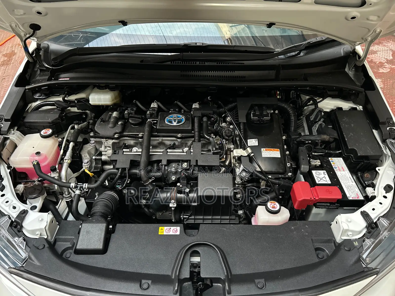 Toyota Corolla WXB PKG / PEARL 2020