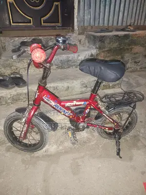12-Inch Bicycle