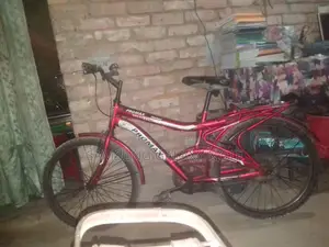 Bicycle for Sale