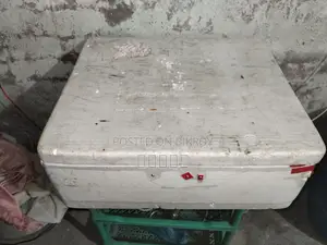 Egg Incubator