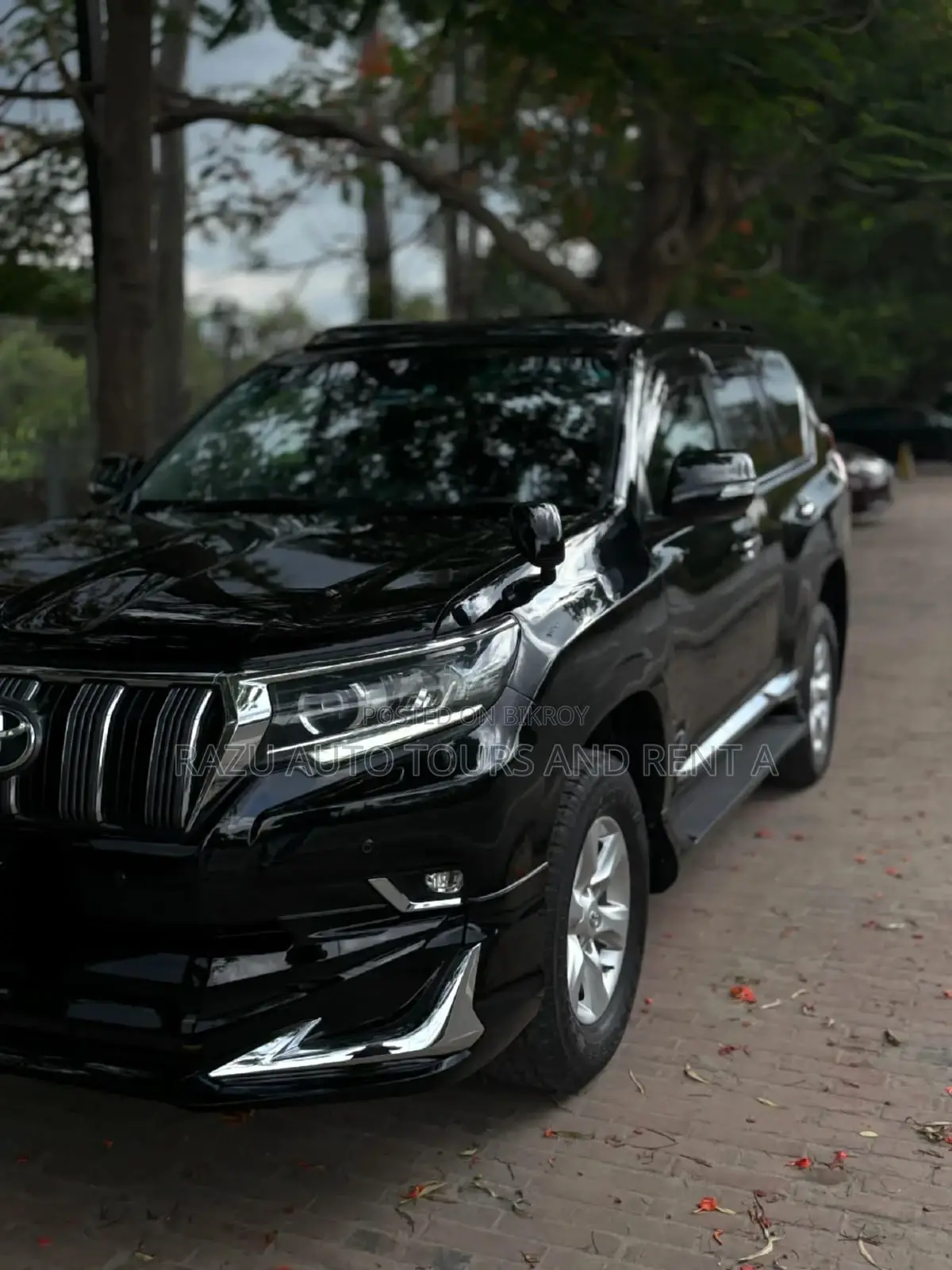 Prado For Rent