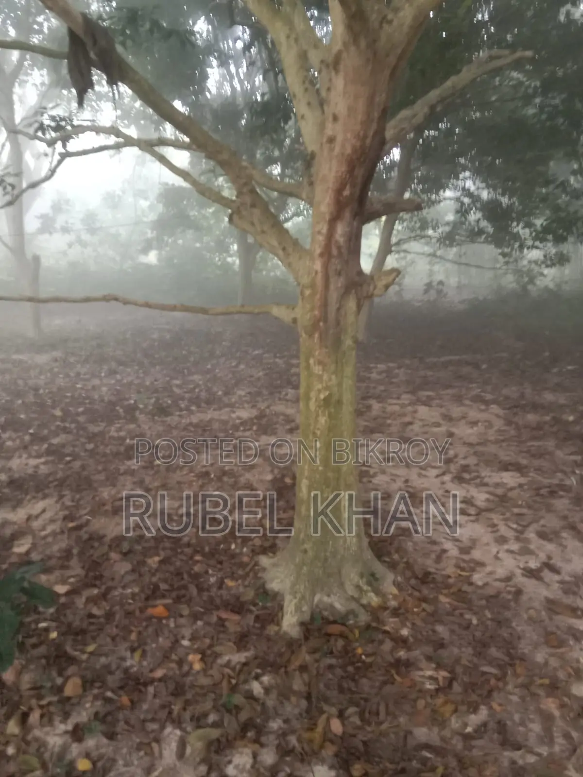 Urgent Land Sale