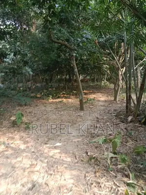Urgent Land Sale