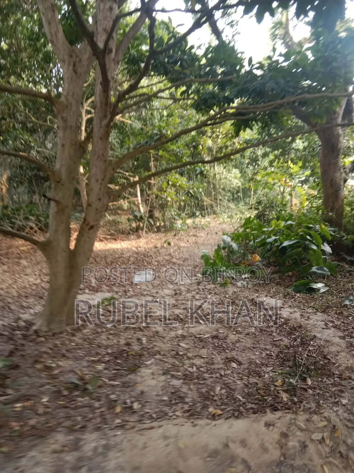 Urgent Land Sale