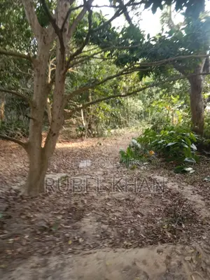 Urgent Land Sale