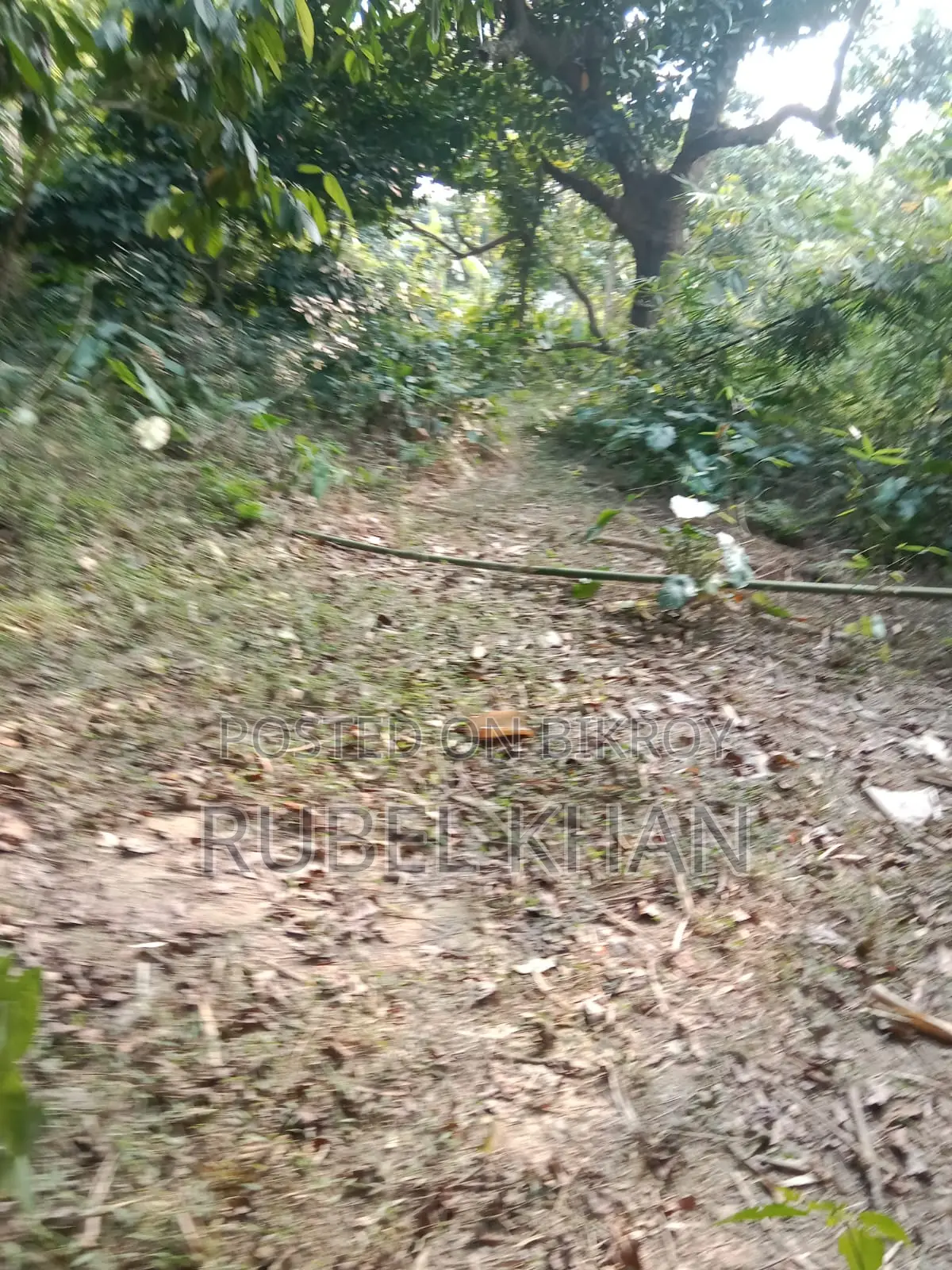 Urgent Land Sale