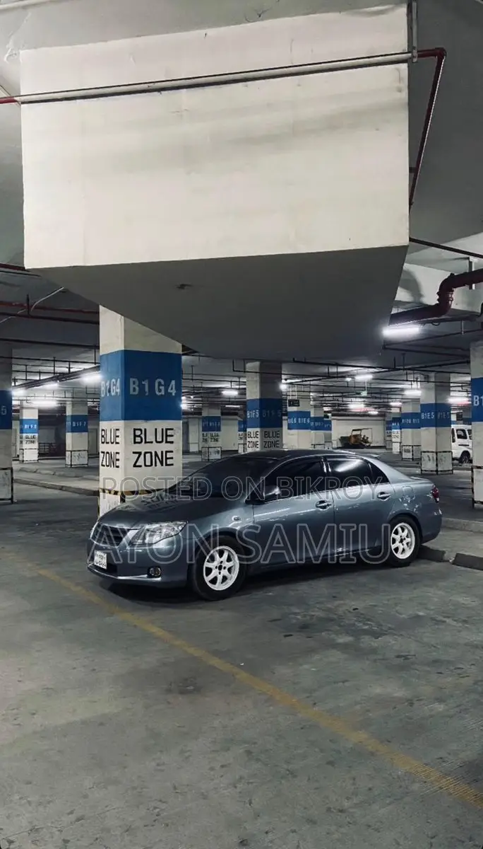 Toyota Axio G 2008