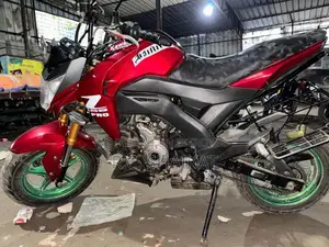 Kawasaki Z125 Pro . 2019
