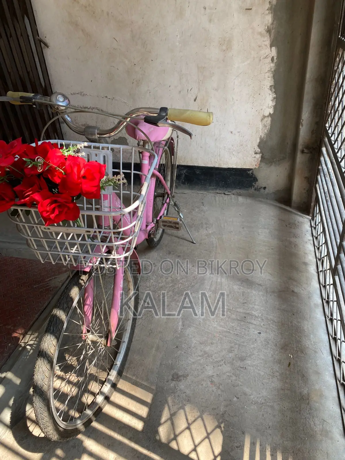 গোলাপি রঙের সাইকেল