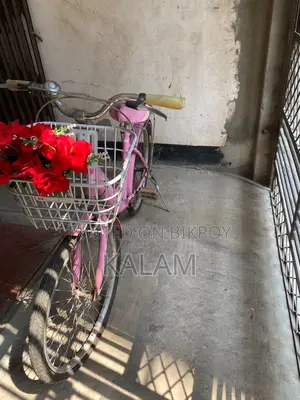 গোলাপি রঙের সাইকেল