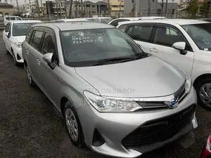 Toyota Axio EX 2020