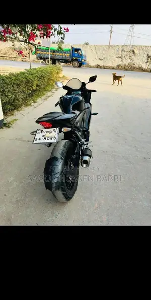 Yamaha R15 M 2022