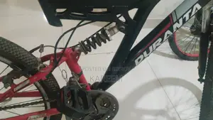 Duranta Cycle (Used) with Gear