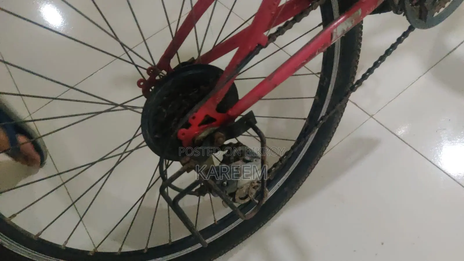 Duranta Cycle (Used) with Gear