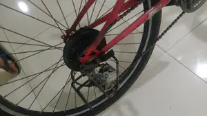 Duranta Cycle (Used) with Gear