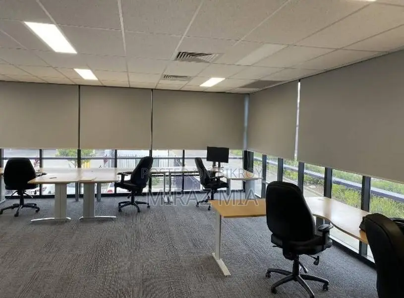 Premium Roller & Vertical Blind