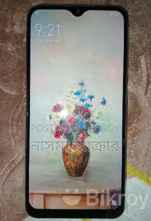 Vivo Y17 8/256 (Used)